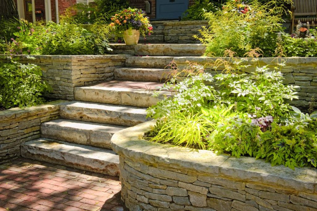 Native Plants in Front Yard